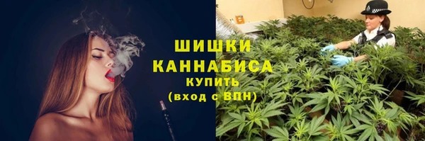 ПСИЛОЦИБИНОВЫЕ ГРИБЫ Тихвин