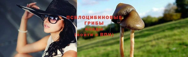 спиды Тобольск