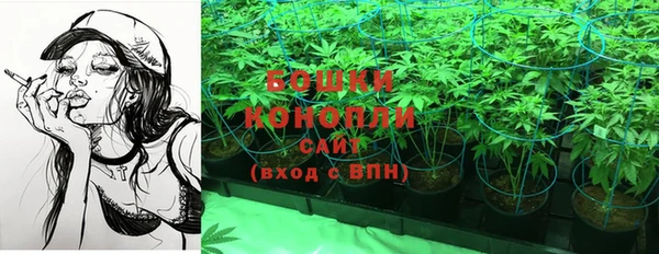 ПСИЛОЦИБИНОВЫЕ ГРИБЫ Тихвин